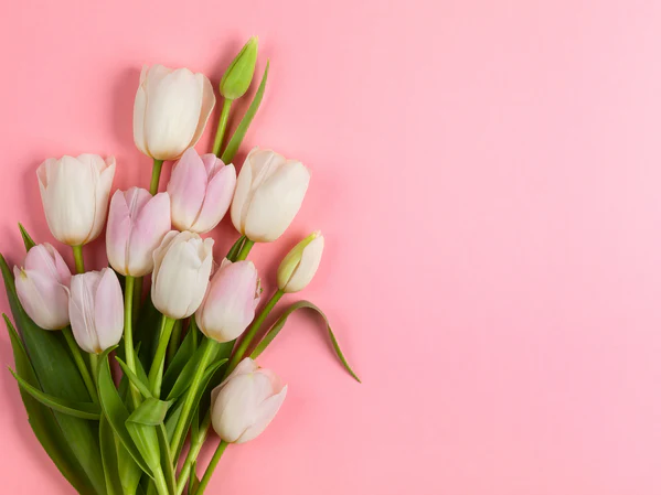 Same-Day Birthday Flower Delivery in Dubai | Fresh Bouquets by Mforista